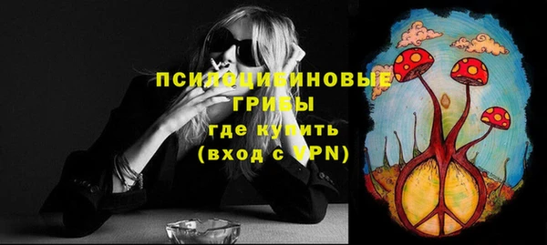 прущие грибы Алексин