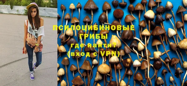 прущие грибы Алексин